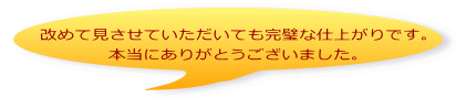改めて見させていただいても完璧な仕上がりです。 本当にありがとうございました。