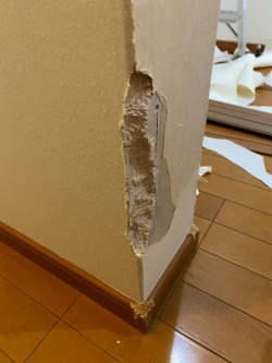 ワンちゃんにがりがりにかじられた角カベ 補修前 ワンちゃんにがりがりにかじられた角カベ 補修前