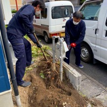 解体作業中　花壇