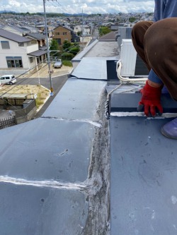 屋根修理 雨漏り 屋根修理 雨漏り